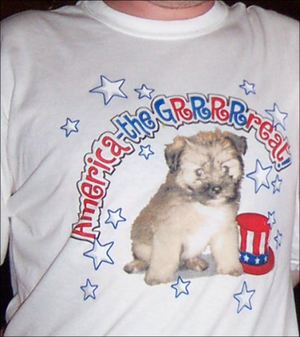 4th of july tshirt