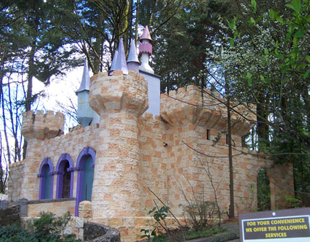 enchanted forest castle