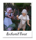 enchanted forest