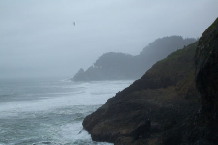 sea lion cave