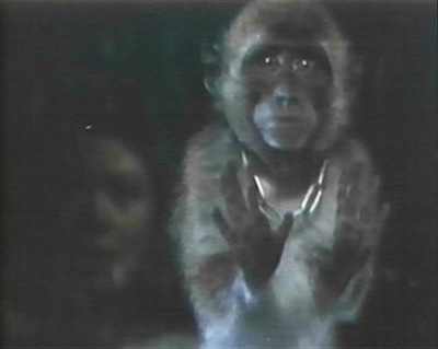 Fonda's aura of suck is so powerful, that even her pet monkey ends up hanged.