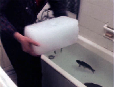 ’So there I was with a block of ice, three trout and a pair of the bluest balls this side of Pandora.’