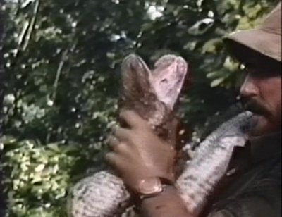 If you eat then slowly digest me for a month, then, yes, this jungle IS big enough for the both of us. Nobody likes a smartass constrictor.