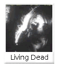 night of the living dead