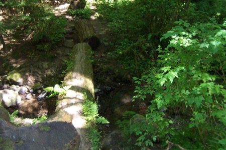 balch creek macleay park