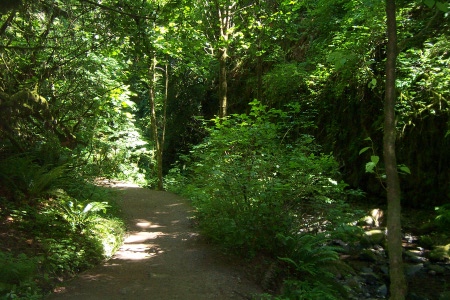 macleay park portland