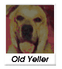 old yeller dog food