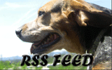 rss