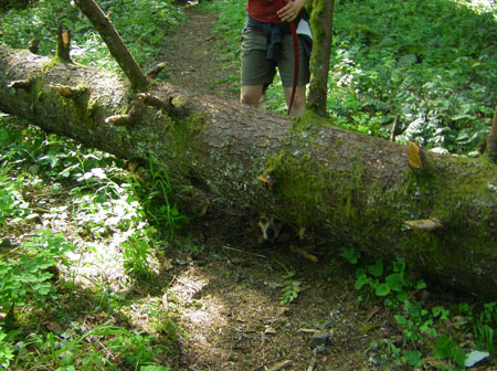 hiking in the gorge