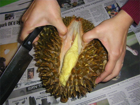 durian