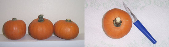 miniature pumpkins